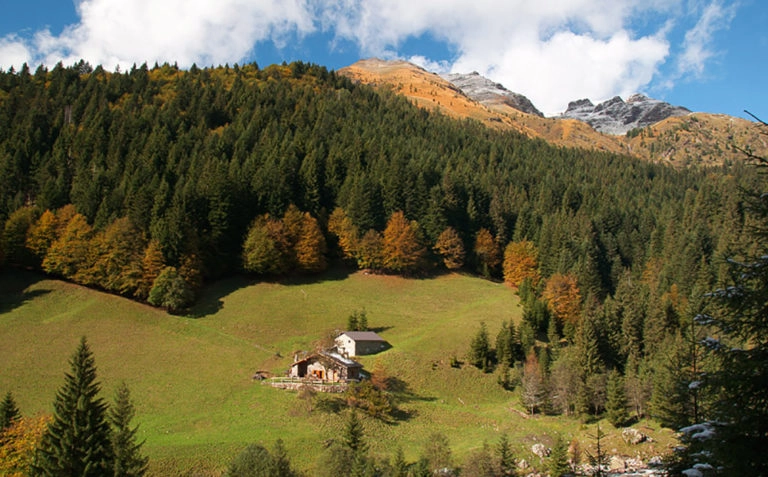 spiazzi-di-gromo-02.webp