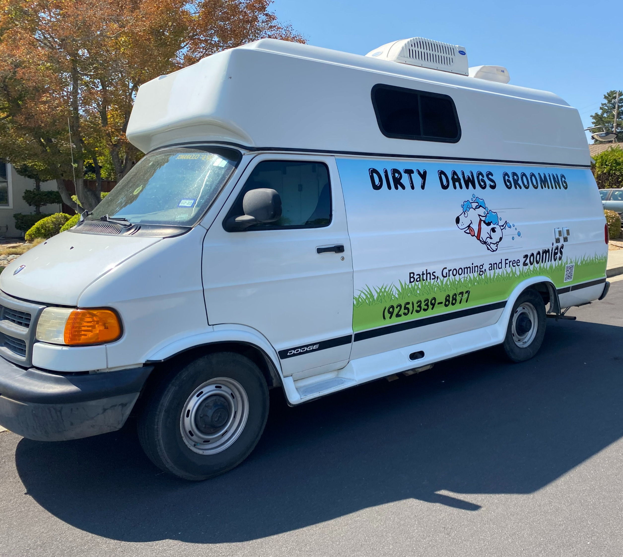 Dirty Dawgs Grooming business photo