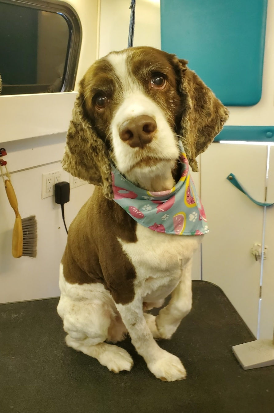 Screenshot_20240818-100157_Photos