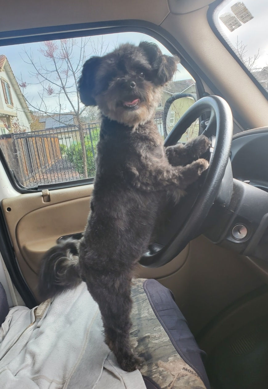 Screenshot_20240818-095321_Photos