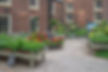 _DSC4512-Edit.jpg