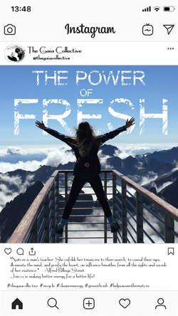 The Gaia Collective Promo