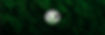 BACKGROUND_edited.jpg