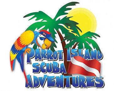 parrot island scuba adventures florida