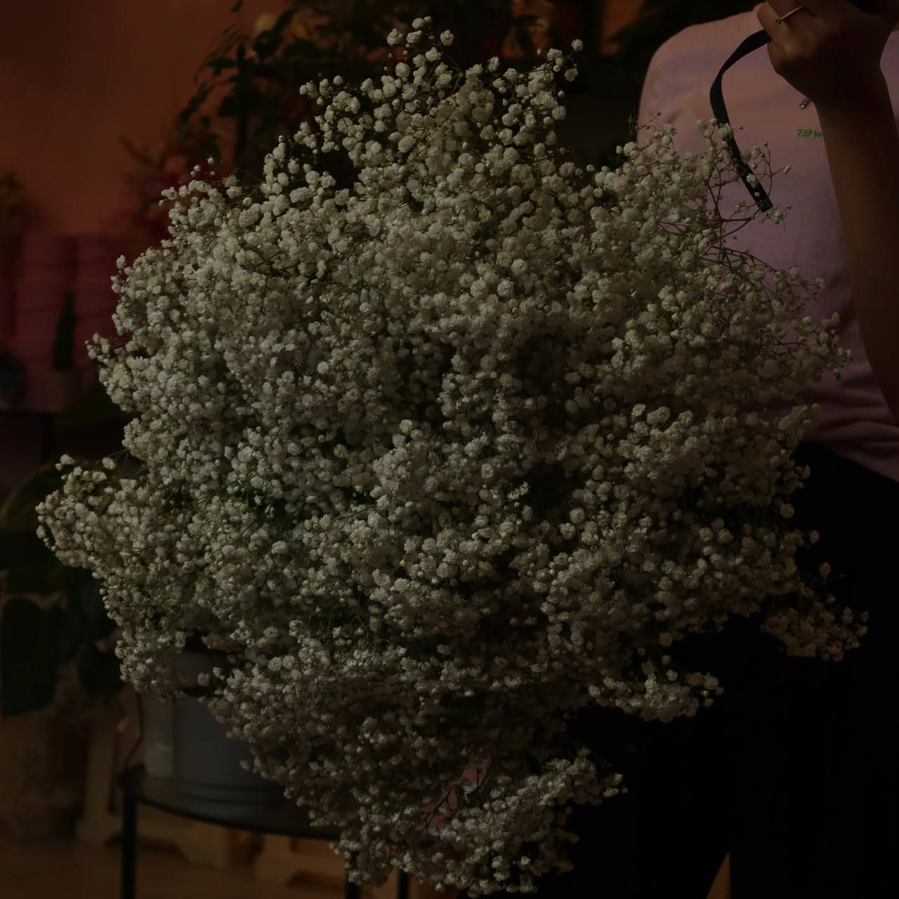 Gypsophila – Flowers by the Stem