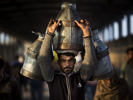 Milkmen of Delhi: Who is at fault for their decline?