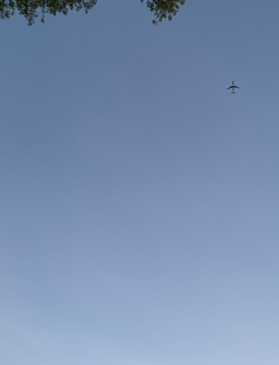 view of blue sky with a moon and little bit of tree branches