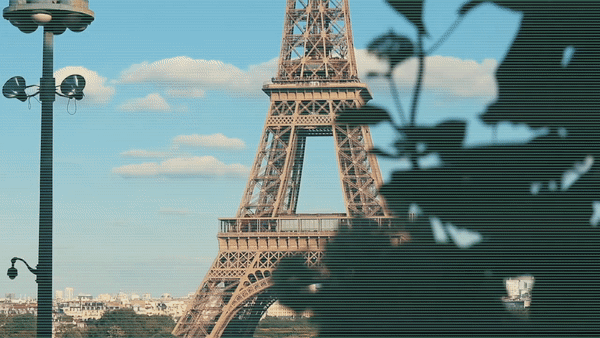 Website 02VF.gif