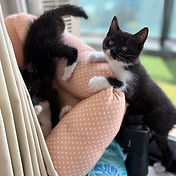 IMG_6156 2_edited.jpg