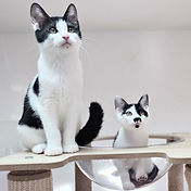 IMG_6156 2_edited.jpg