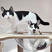 IMG_6156 2_edited.jpg