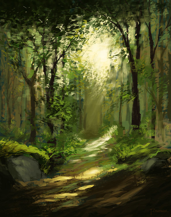 country walk path.jpg