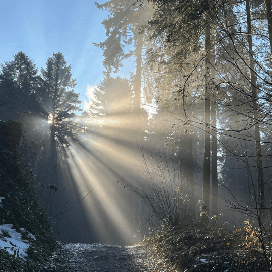 Rauhnacht-Begleitung 2025/2026 – Deine Seelenzeit für Vision & Neuausrichtung