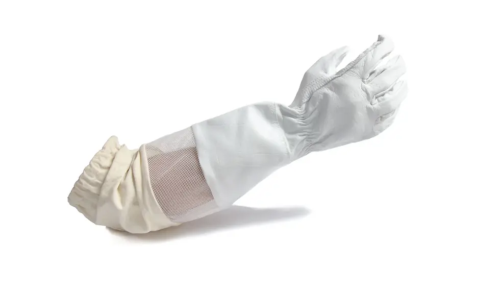 Thumbnail: Premium Leather Gloves