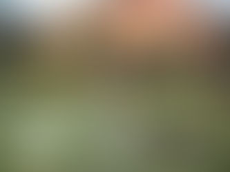 Hellig sky 22. desember