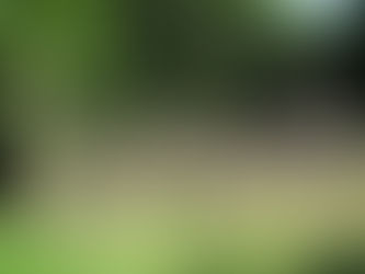 Hellig sky 4.februar