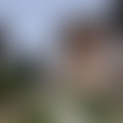 Hellig sky 10. april