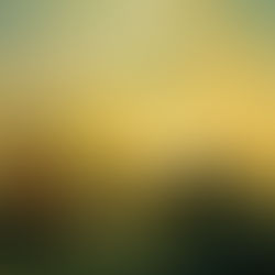 Hellig sky 17. oktober