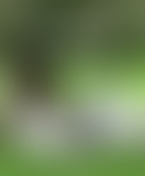 Hellig sky 6.mai