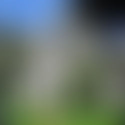 Hellig sky 11.mai