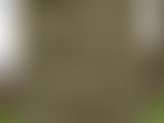 Hellig sky 28. januar