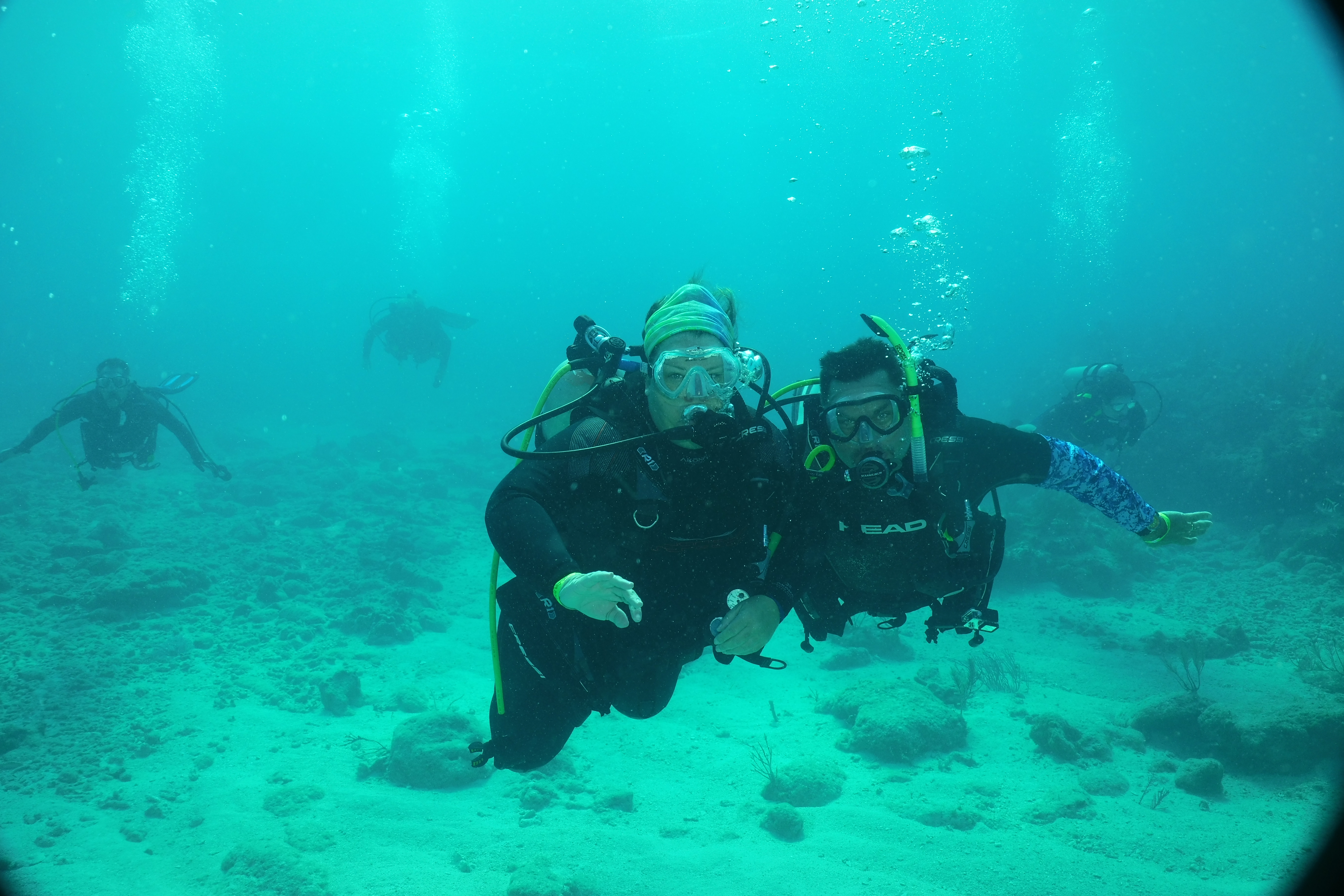 students on check out dives