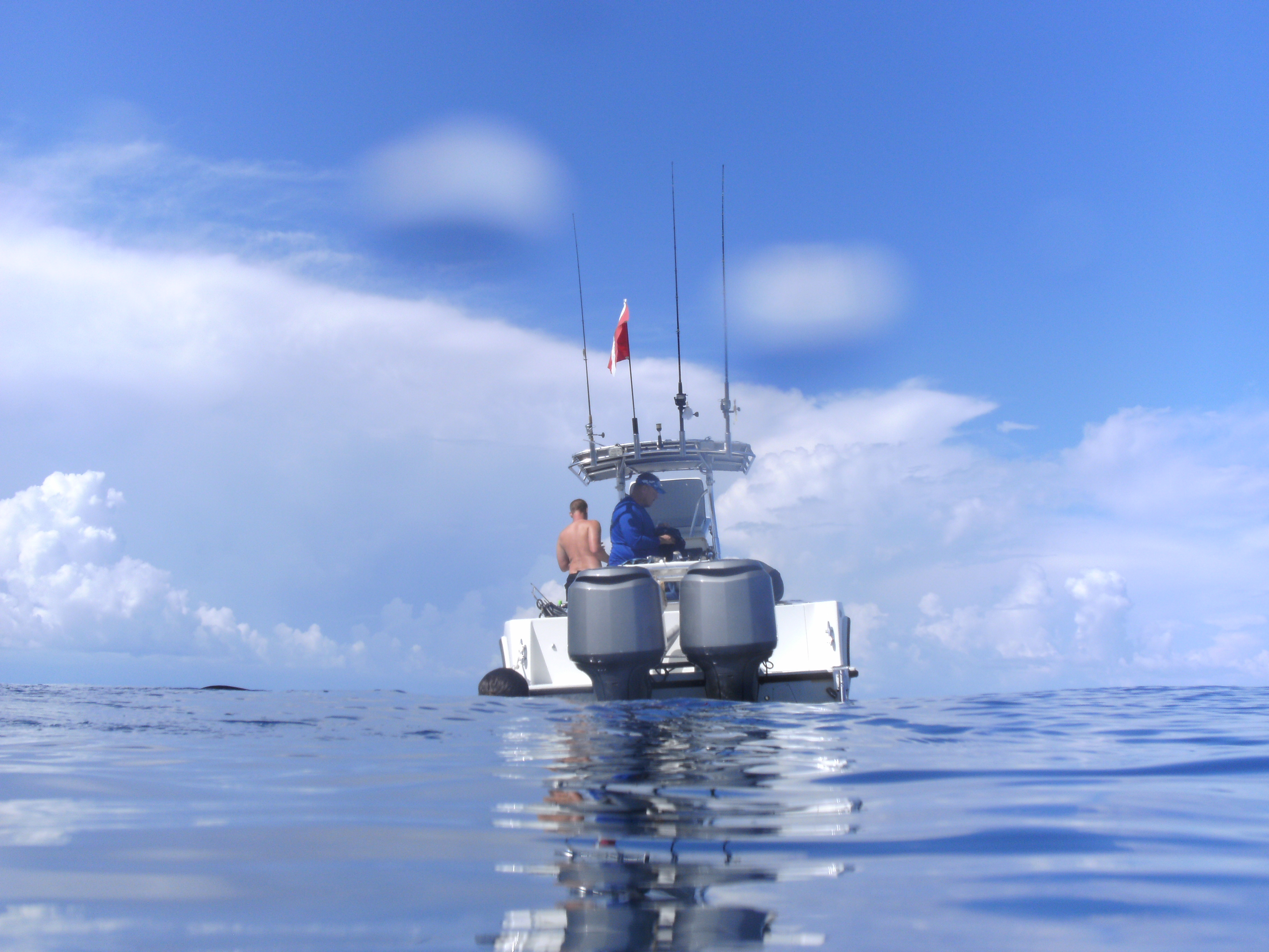 another beautiful day diving