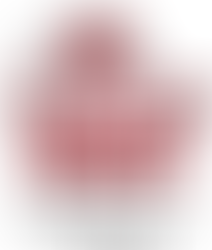 Top International School Students Step into Real-World Aviation: HKPAPA Hosts Elite Career Experience for Kellett