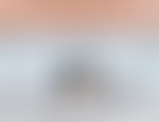 URGENT: Tell Governor DeSantis to SIGN HB 6017 into Law - Sign the letter