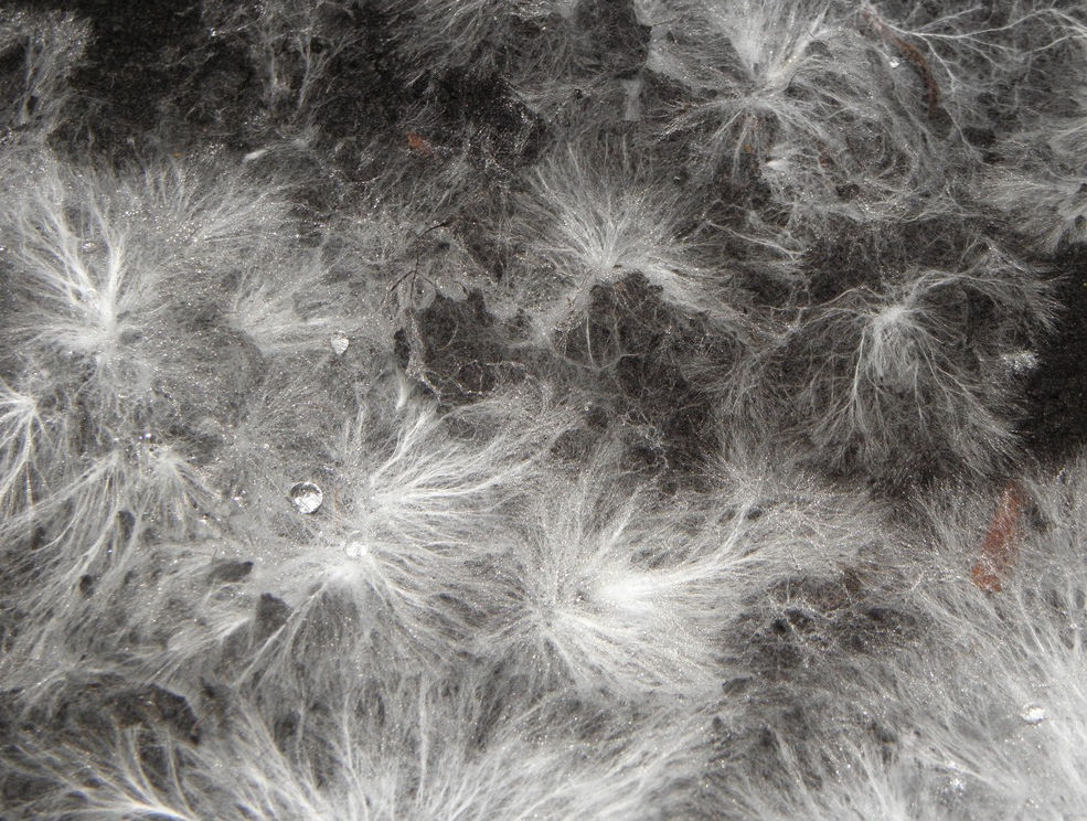 5d349ea403f36-3969530966.jpg