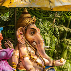 Formation yoga en inde