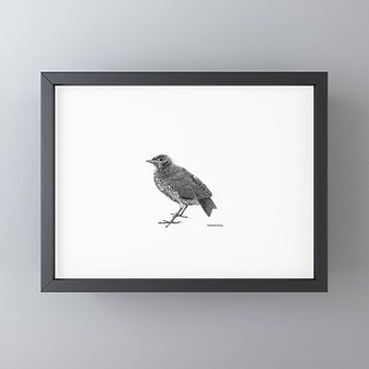 lijst met sketch van een vogel