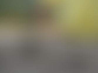 Wij creëren onze allereerste wellness escape in Suriname!