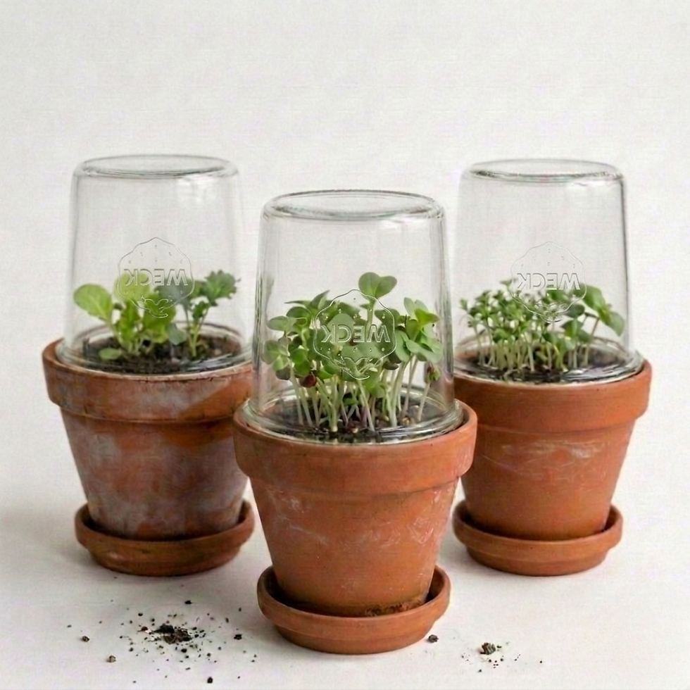  DIY WECK mini-planters