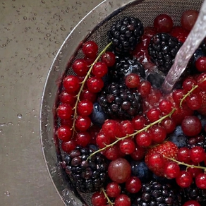 A foraging day in The Green Garden orchard