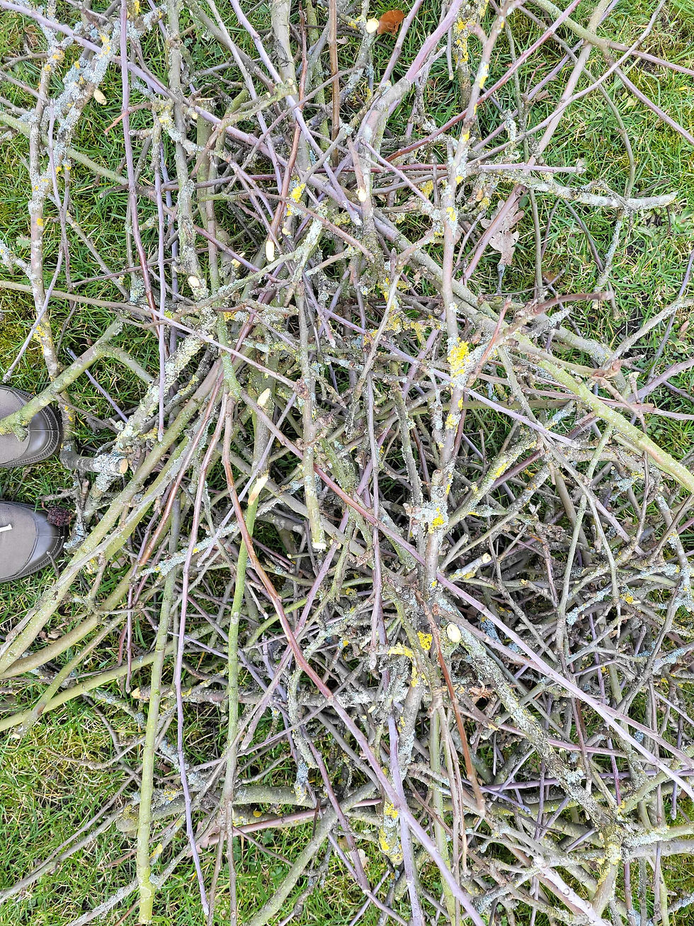 Een wintertraditie die me elk jaar dichter bij mezelf brengt.