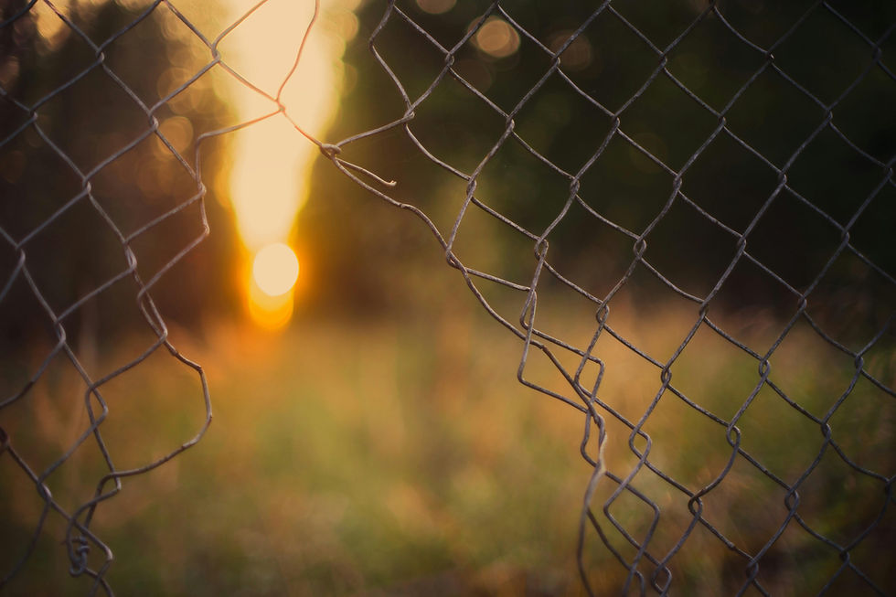 Guarding our hearts without closing it: the art of boundaries