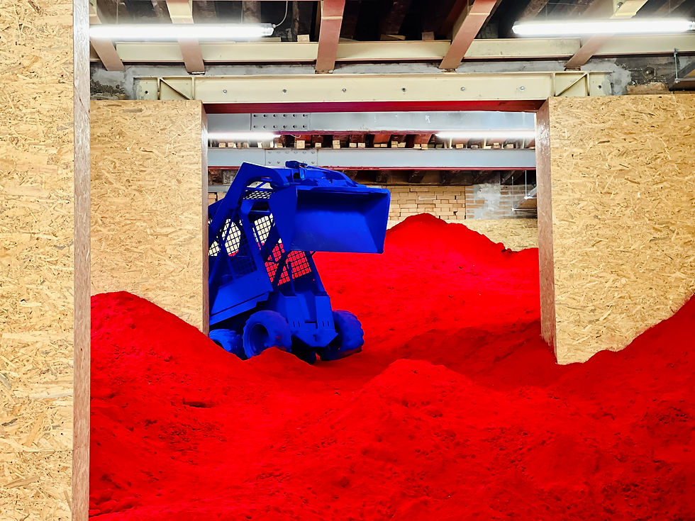 Anish Kapoor: The Genius of Material and Form