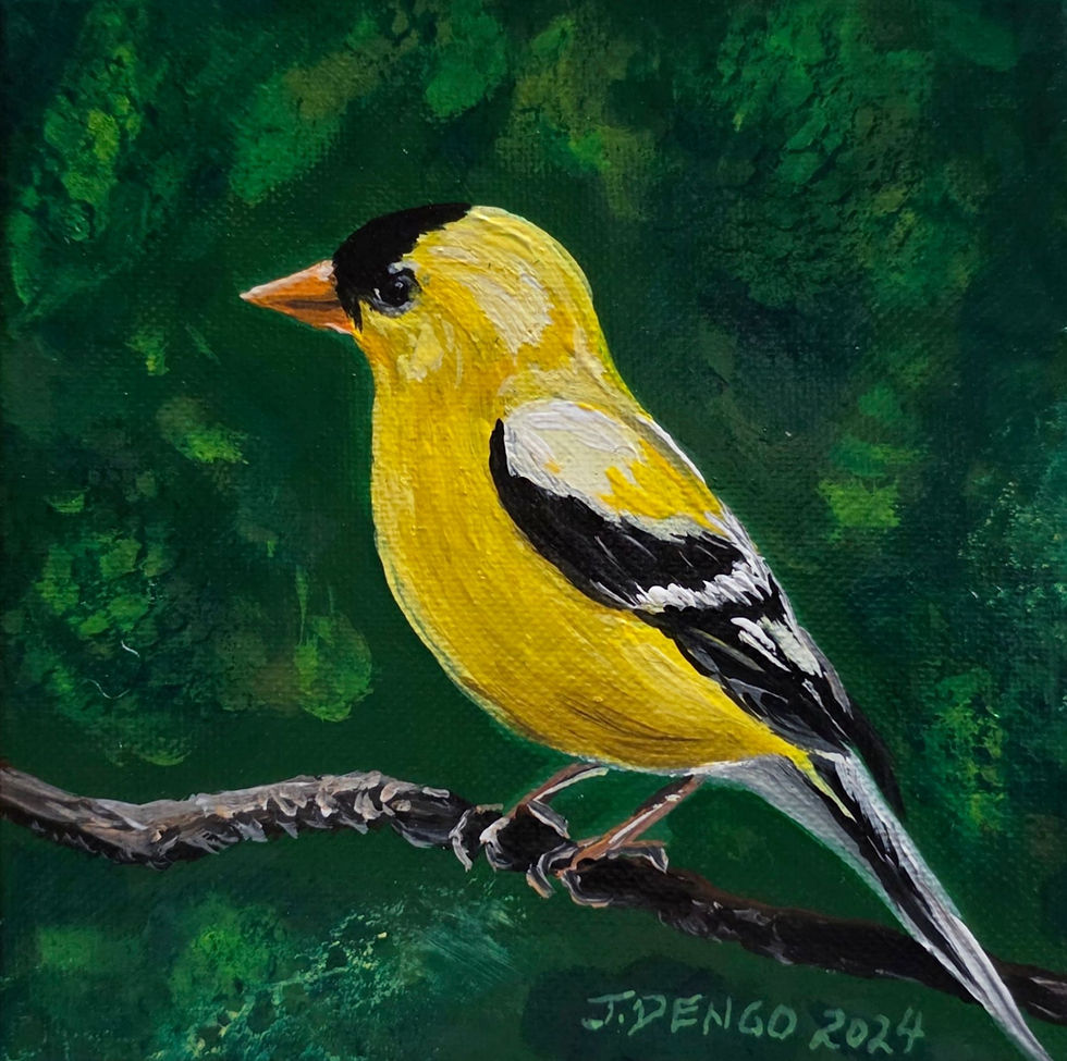 623415002_1548844277240750_3198728835843685844_n