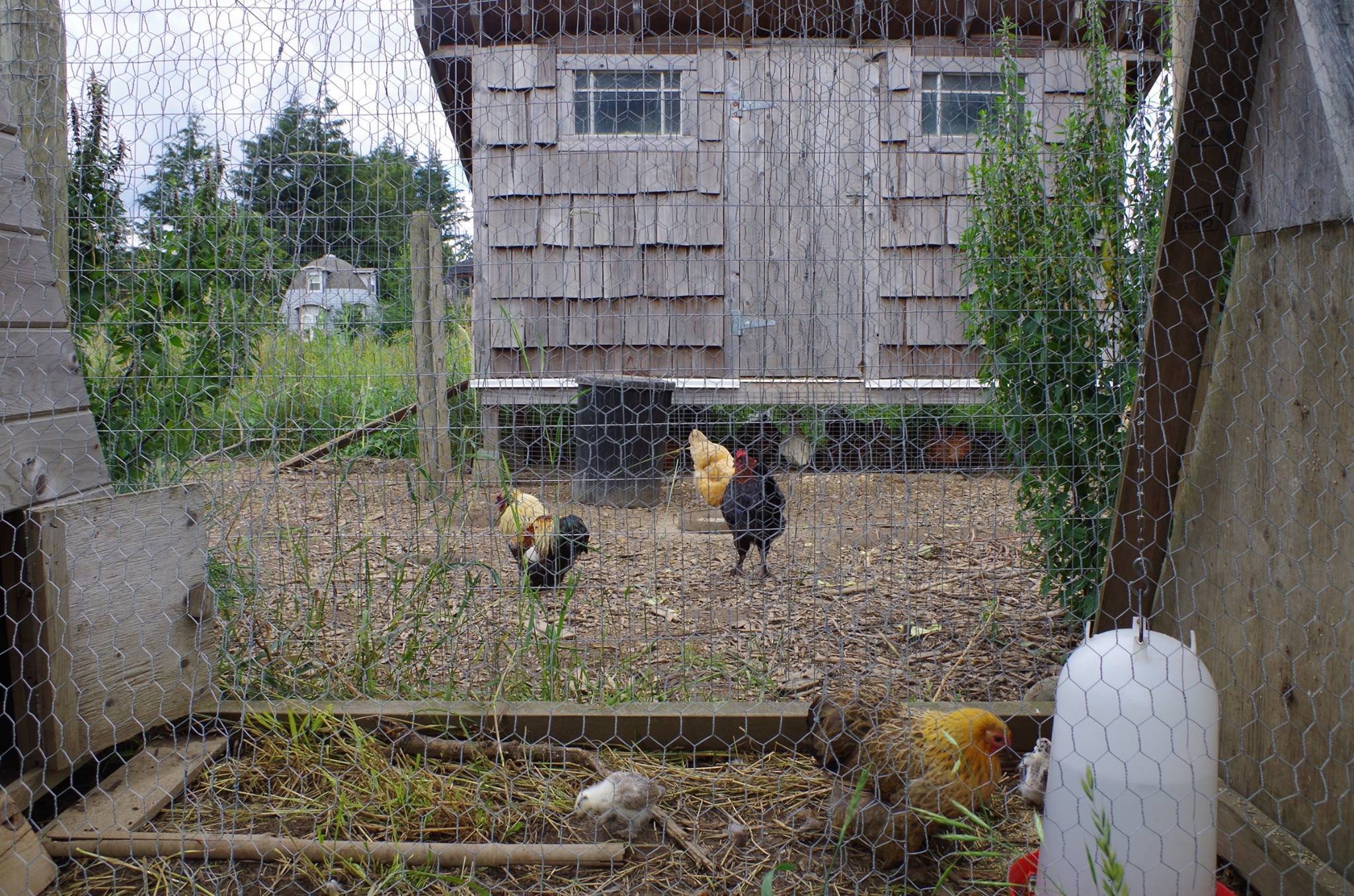 Permaculture Design