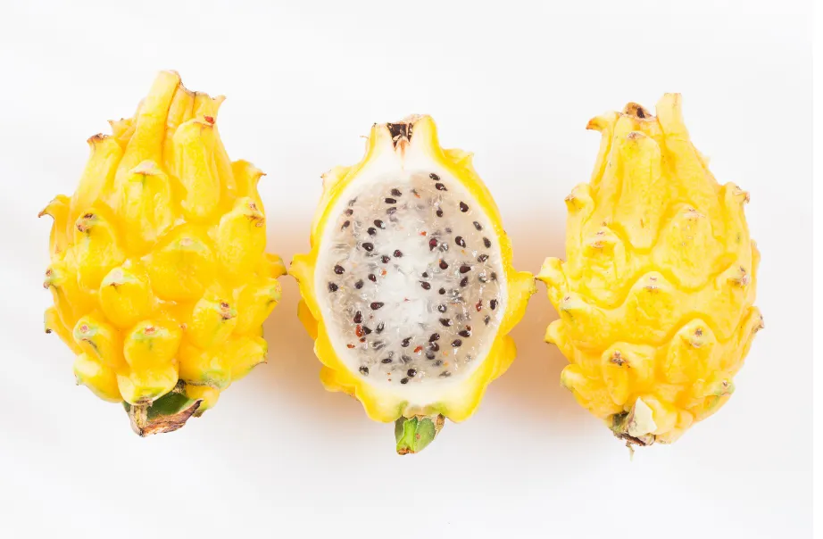 19e448_c8b067a7060b468da4930c3