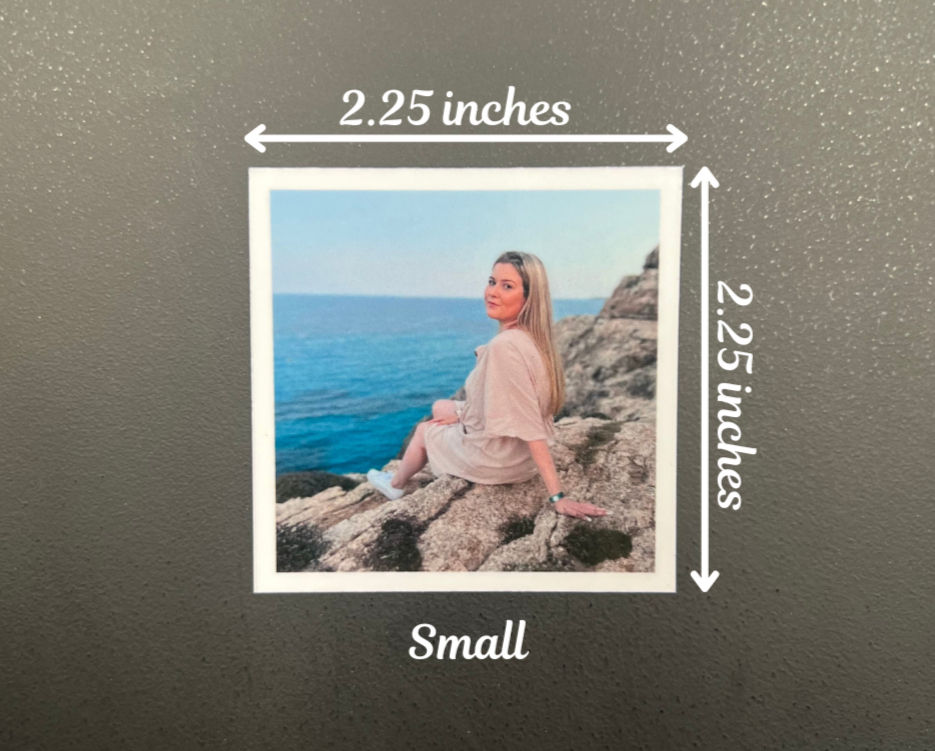 single small magnet with measurements 