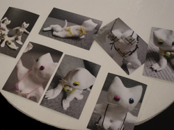 「生写真」展示