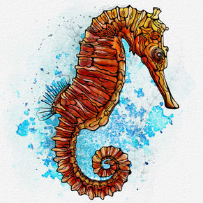 neurographic seahorse.jpg
