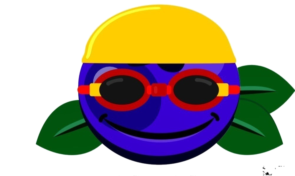 www.blueberrysports.com.br