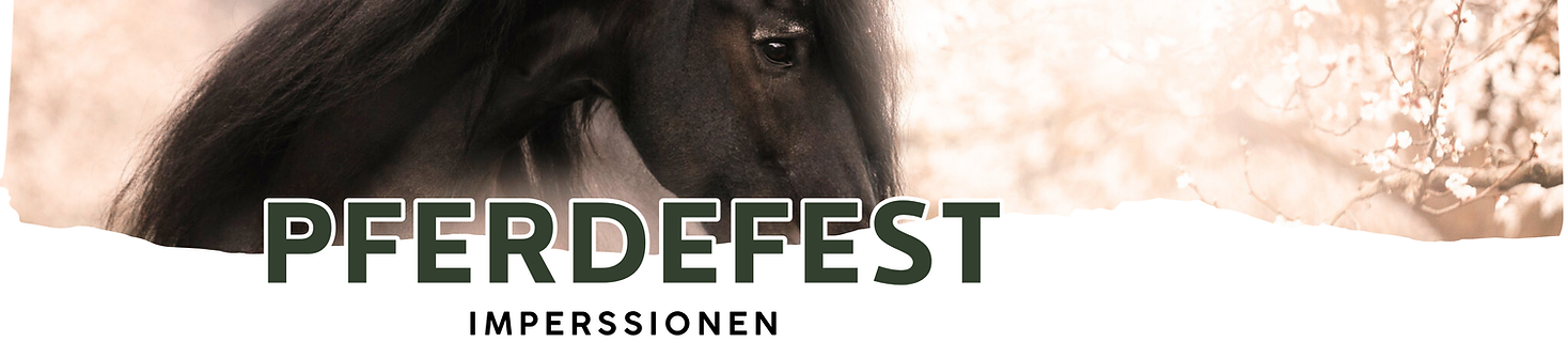 Poster_Marcus_841x1189_A1_druck.pdf (3235 x 1500 px) (4000 x 1000 px) (4).png
