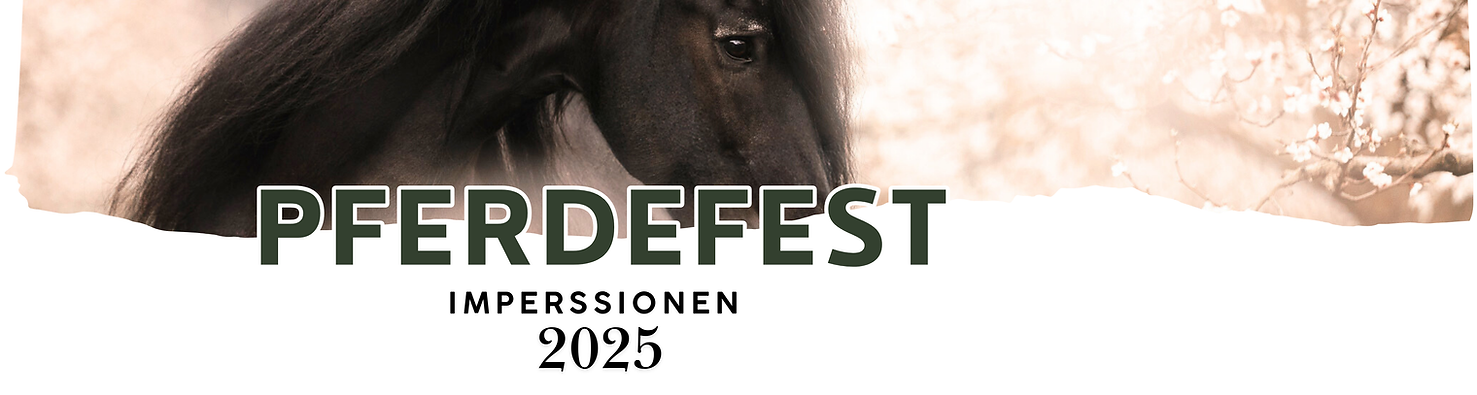 Poster_Marcus_841x1189_A1_druck.pdf (3235 x 1500 px) (4000 x 1000 px) (4).png