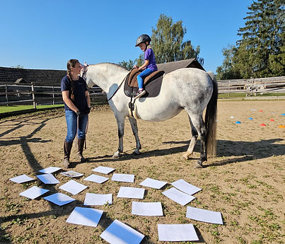 Pferdeparadies Waldviertel, Pferdeschule, Pferde reiten lernen, Pferde Reiten lernen Niederösterreich, Pferde Kindergestützte Therapie Niederösterreich, Österreich Pferdegestützte Therapie