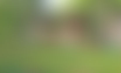 Two-story historic house in Flossmoor surrounded by trees and a grassy lawn. Beige siding with red accents. Green sign in front yard reads "Certified Wildlife Habitat."