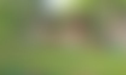 Two-story historic house in Flossmoor surrounded by trees and a grassy lawn. Beige siding with red accents. Green sign in front yard reads "Certified Wildlife Habitat."